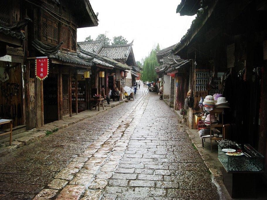狗狗能吃香蕉吗？